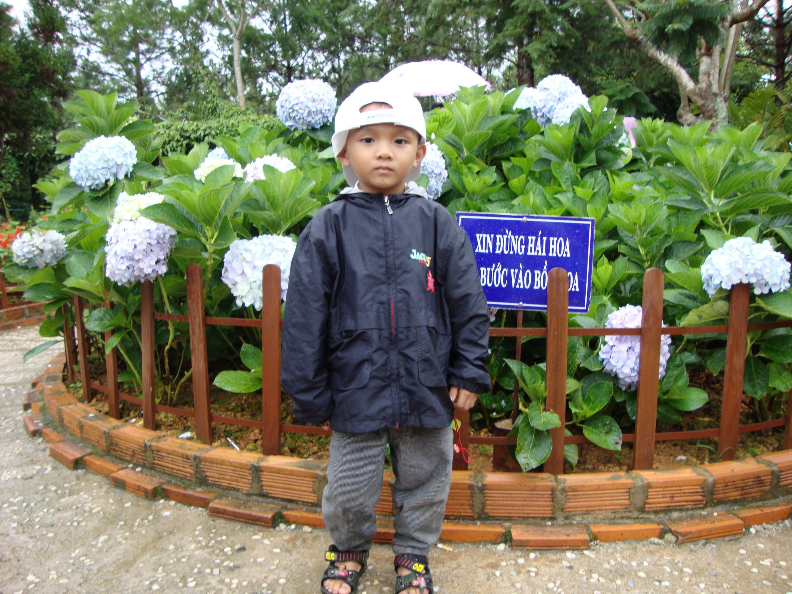 Vũ Nguyễn Tấn Đạt