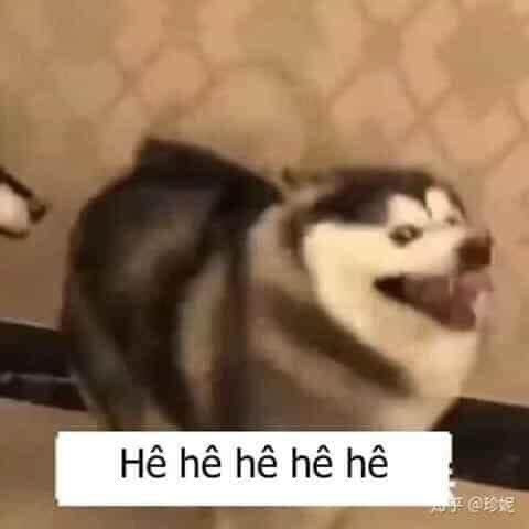 Nguyễn Triệu Yến Nhi