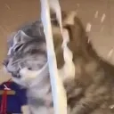 Trần Ngọc Mai Anh