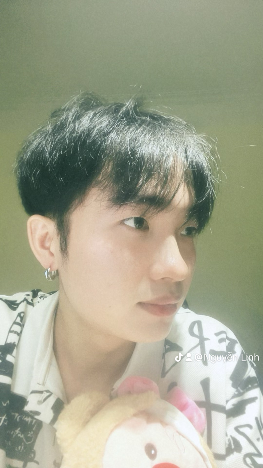 Lê Nguyễn Mạnh Linh