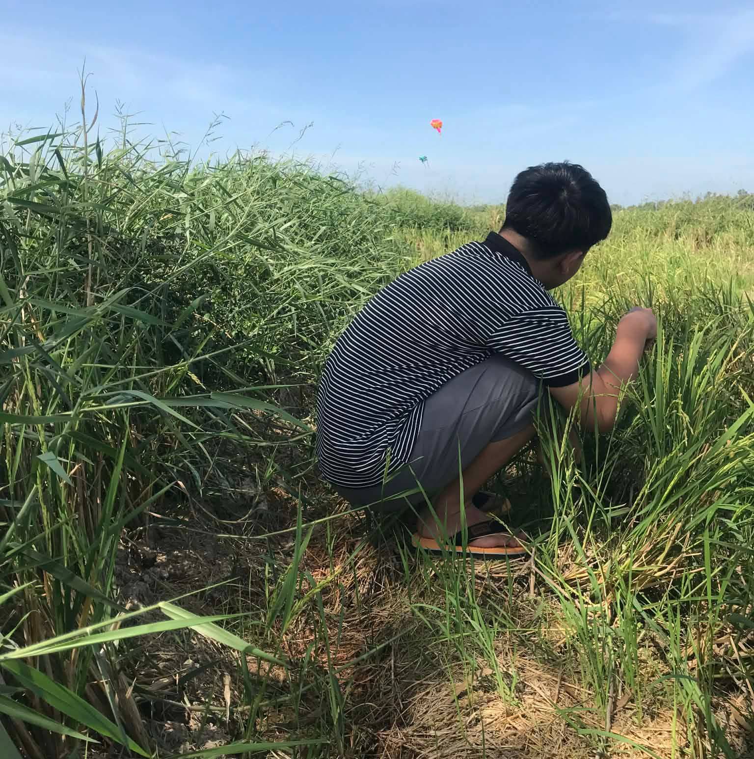 Trần Quốc Kiệt