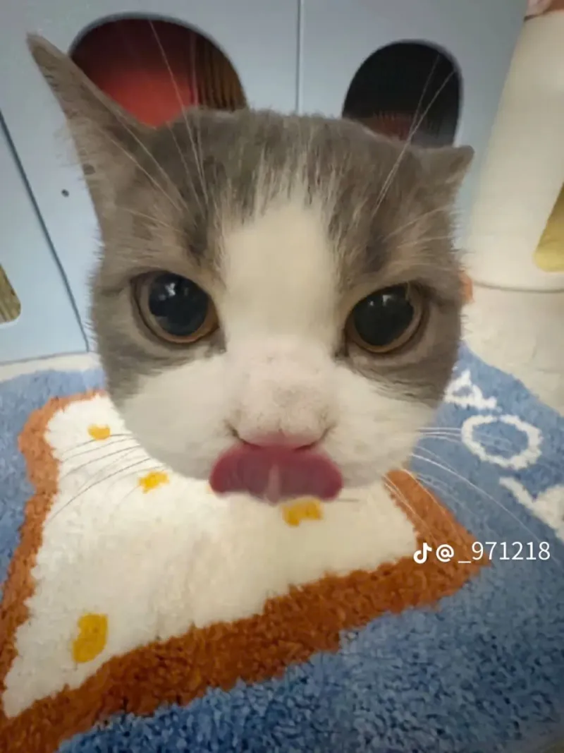 Đào quý trọng