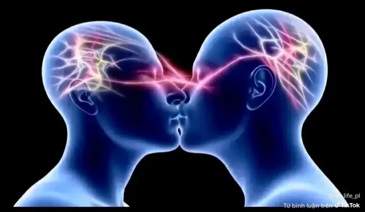 Đinh Việt cường