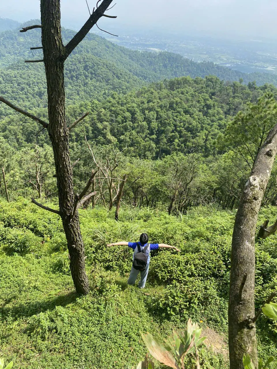 Bùi Hải Dương