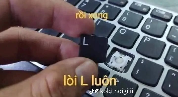 Đinh duy dũng