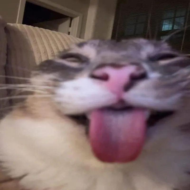 Lê Thuần Anh Quang