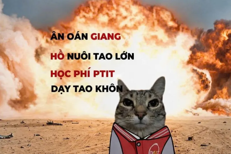 Nguyễn Tuấn Vũ