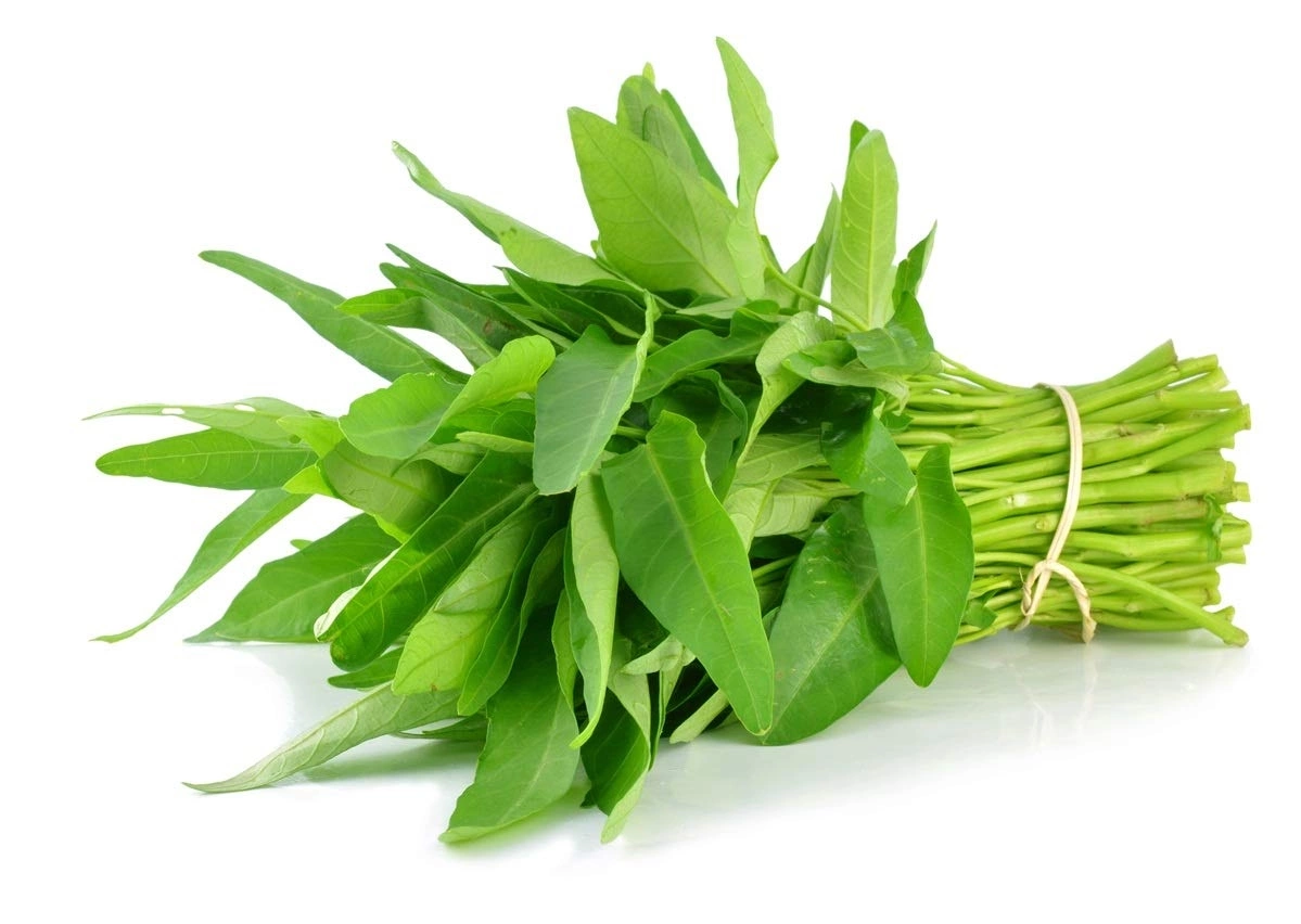 Rau Muống
