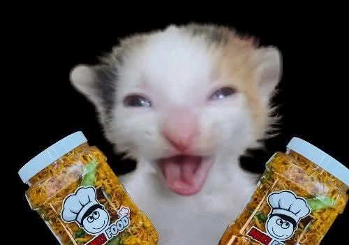 5 anh tày