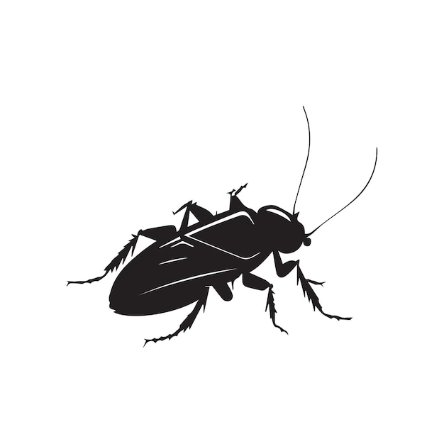 Big Black Cockroach
