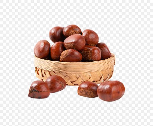 Hạt Dẻ