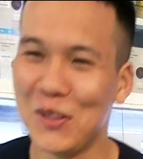 những con mèo